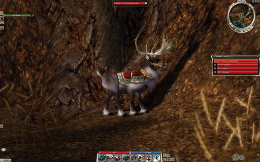 Guild Wars - Wintersday 2008 Screenshots